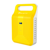 P-200+55W Solar Panel